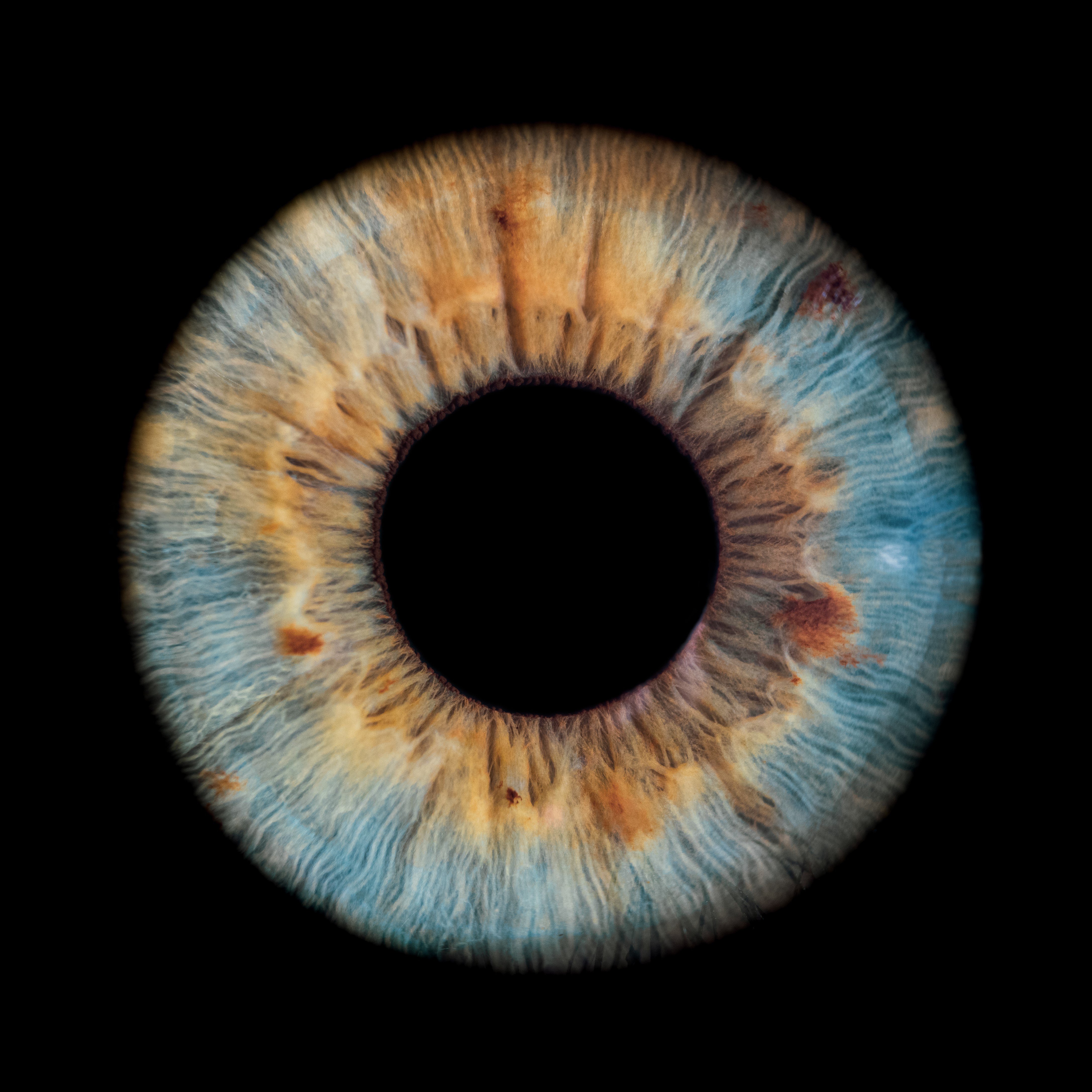 Sous l'effet de la lumière ou d'un vif intérêt, la pupille de l'oeil se dilate. Les émotions se traduisent en mots, et les mots, en émotions. Vous avez fait la passerelle. Abracadabra. Sous l'effet de la lumière ou d'un vif intérêt, la pupille de l'oeil se dilate. Les émotions se traduisent en mots, et les mots, en émotions. Vous avez fait la passerelle. Abracadabra.