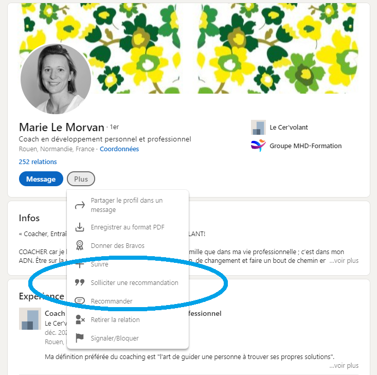 Capture d'écran d'un profil LinkedIn pris au hasard, affichant le menu dont on vient de parler pour pointer l'option sur laquelle cliquer pour demander un avis