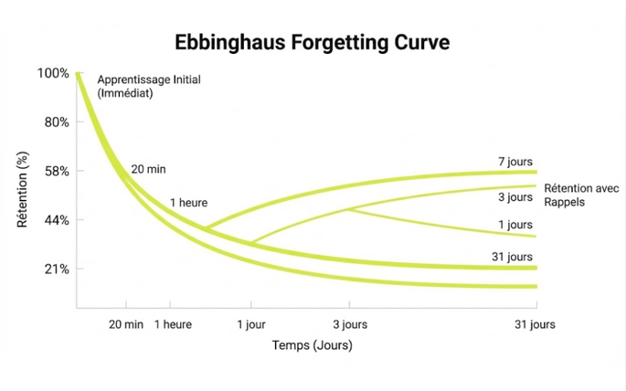 Graphique représentant la courbe de l'oubli d'Ebbinghaus. L'axe vertical indique le pourcentage de rétention de l'information et l'axe horizontal le temps écoulé. Une courbe montre une chute rapide de la mémorisation juste après l'apprentissage, qui ralentit et se stabilise à un niveau bas au fil du temps, illustrant la vitesse à laquelle nous oublions sans rappels réguliers. 